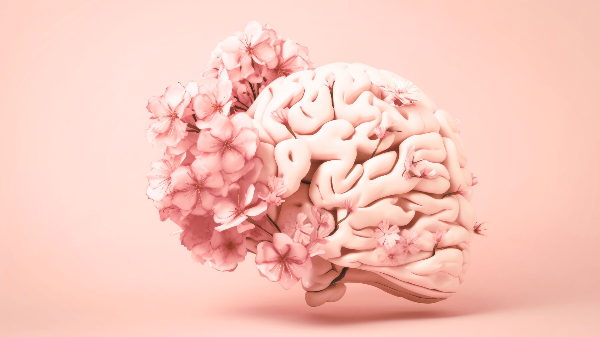 article - neuroatypie 15 signes HPI