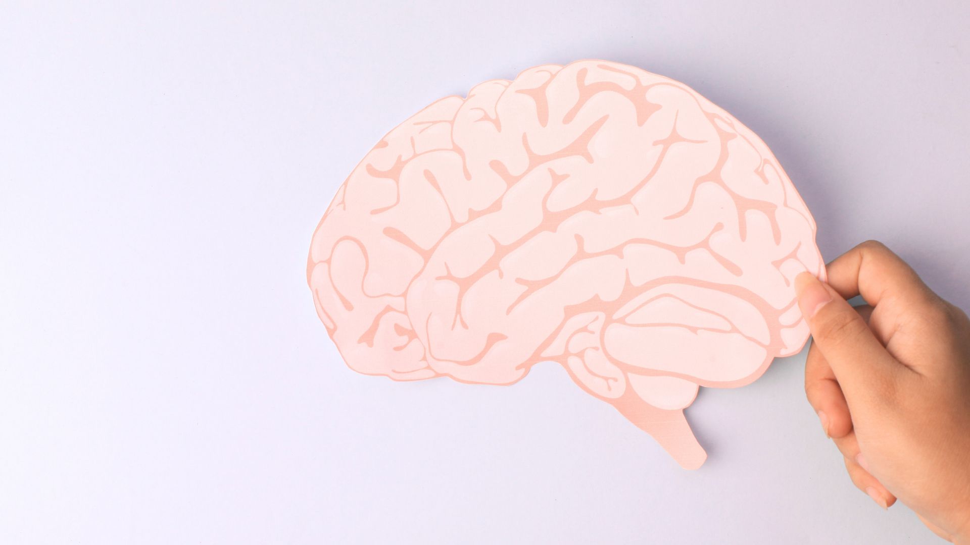 article - neuroatypie 15 signes TSA